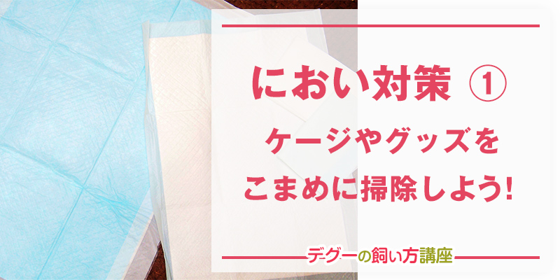 ケージやグッズのこまめなお掃除！